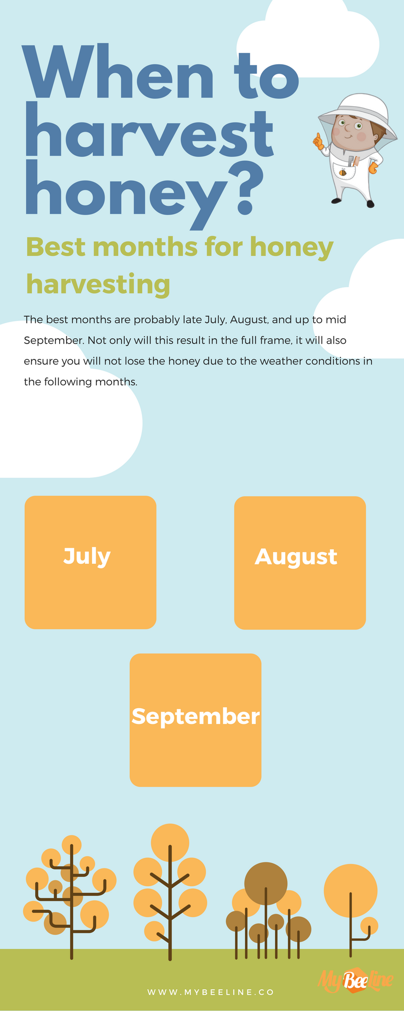 When to harvest honey Tips & tricks MyBeeLine