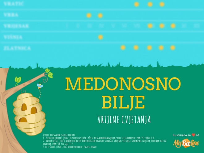 Medonosno bilje i vrijeme cvjetanja