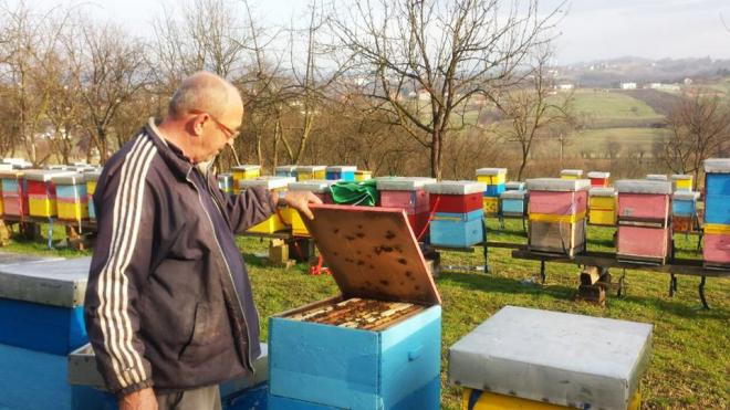 Prvi godišnji radovi na pčelinjaku - što raditi a što izbjegavati?