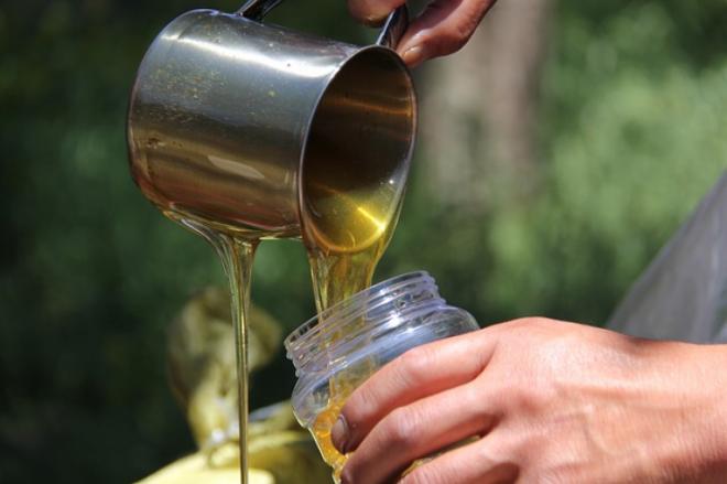 Honey purity test with the glass of water