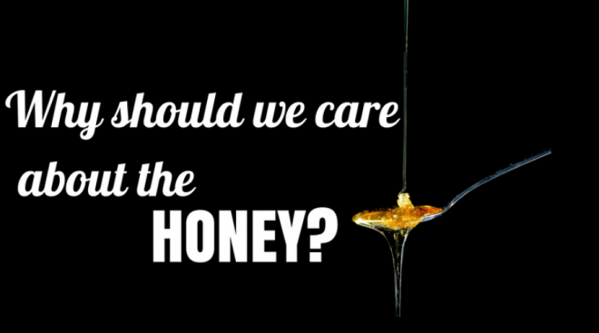 The Importance of Honey - 3 Things to Remember