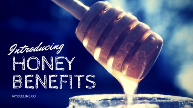 Is Honey Really Good For You? Read Our Research and Find Out
