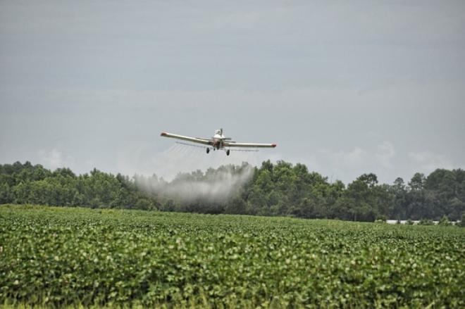 Kako zaštiti pčele od trovanja pesticidima?