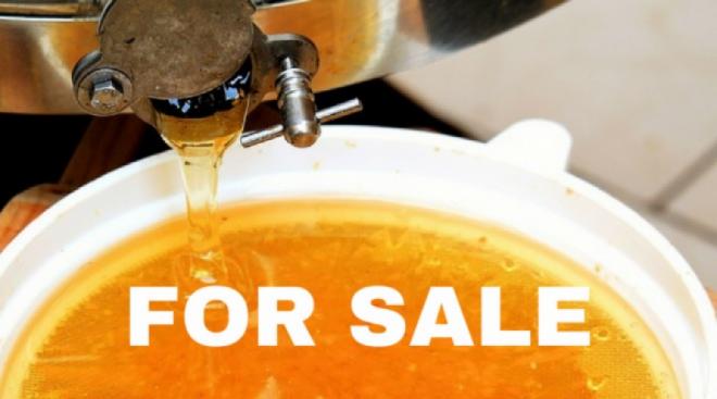 Top 10 Honey Extractors For Sale (2020)