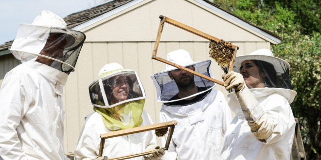 What equipment should I get as a beginner beekeeper?
