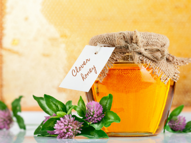 What is Clover Honey?