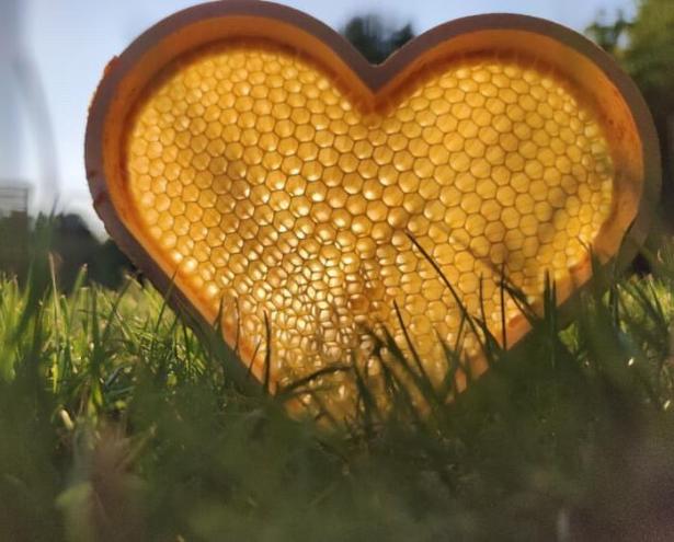 Heart Shaped Honeycomb? A Closer Look at the Heart of the Hive