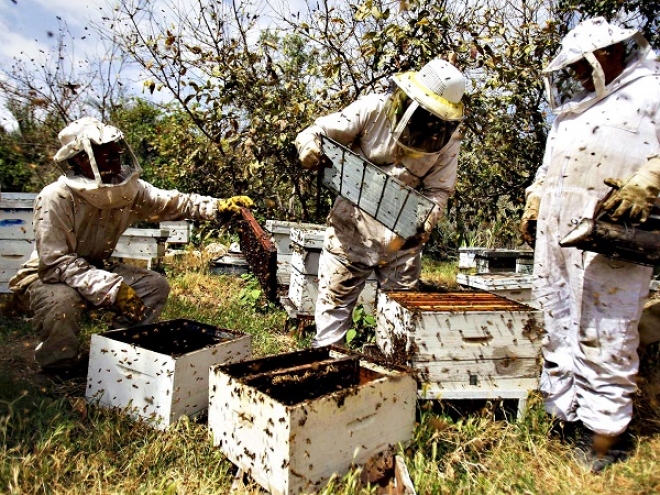 Beekeeping software for satisfied beekeepers!