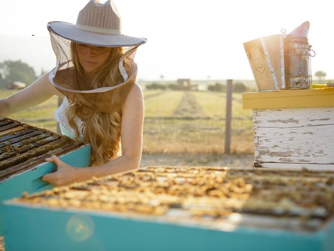5 awesome beekeeping Facebook pages that we love