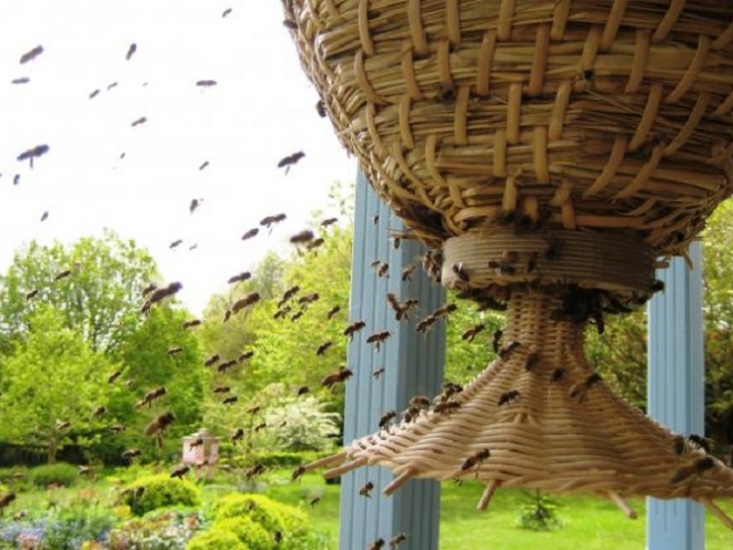 Sun Hive: Bee-friendly hive for natural beekeeping