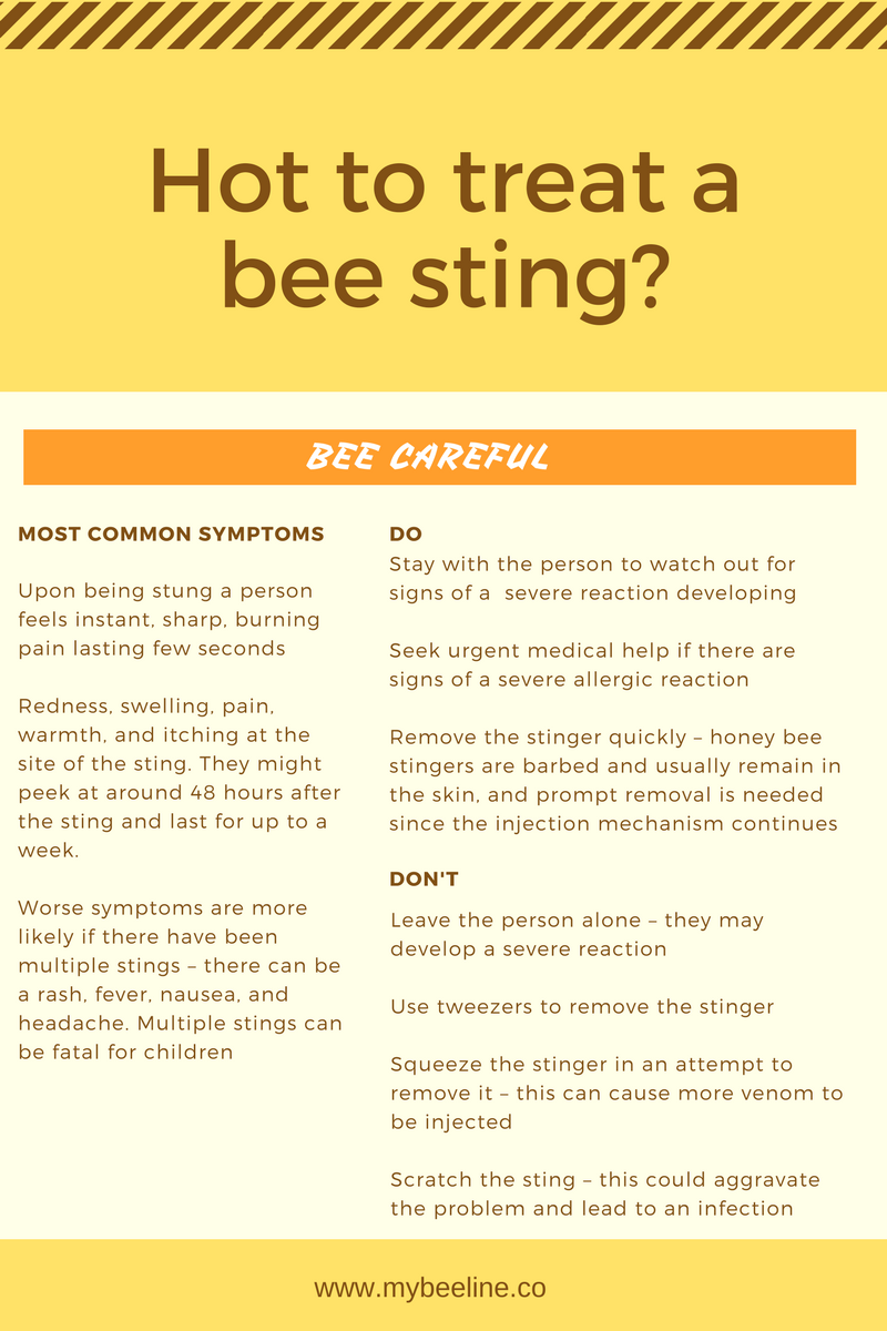 hot to treat a bee sting