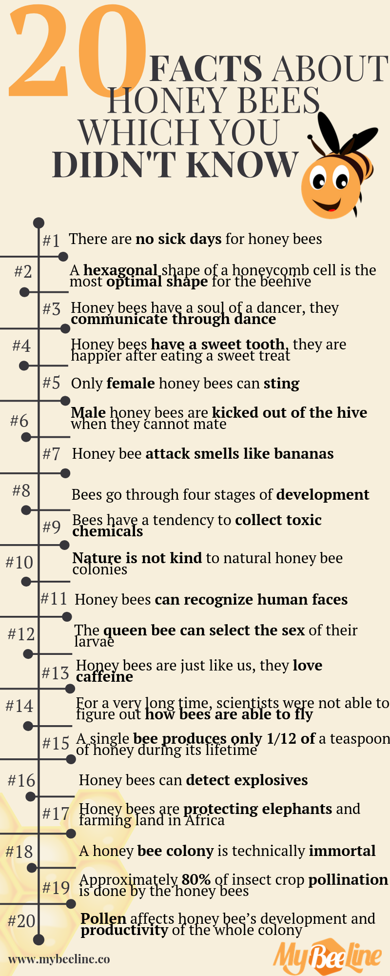20 facts about bees