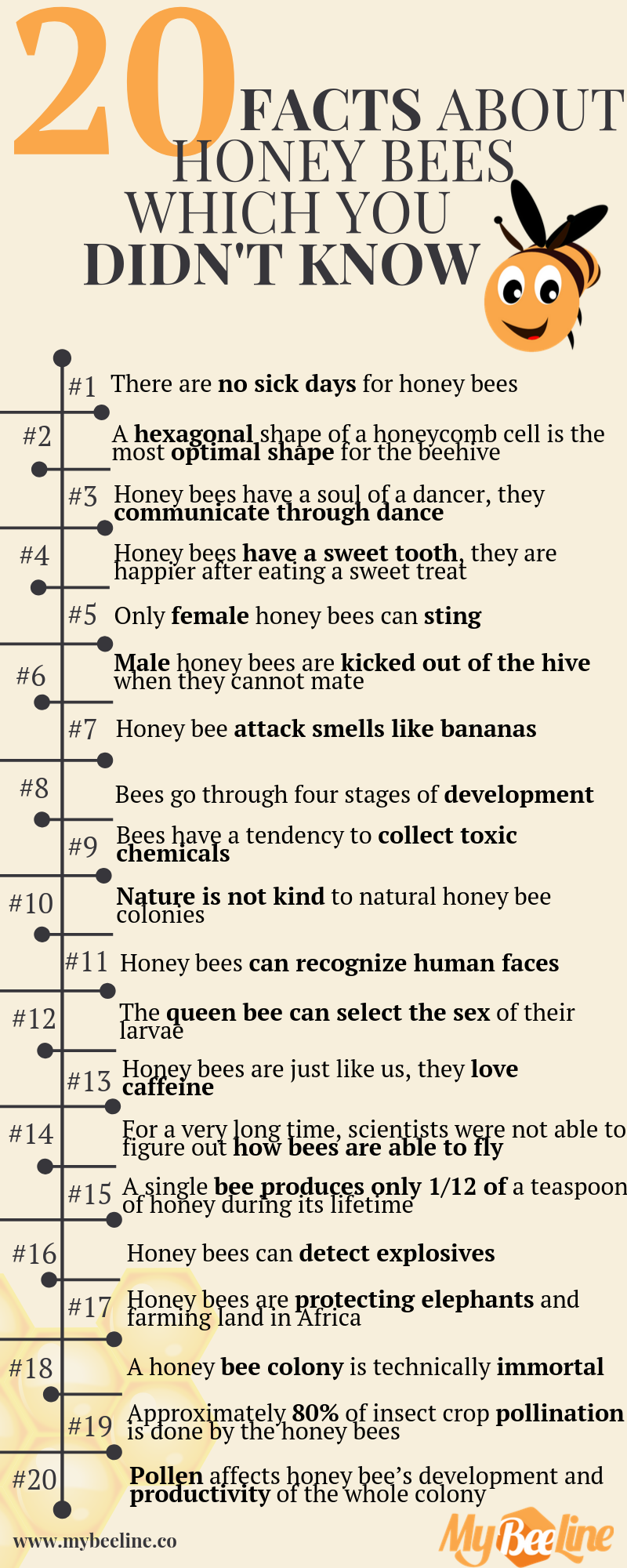 Printable Honey Bee Facts