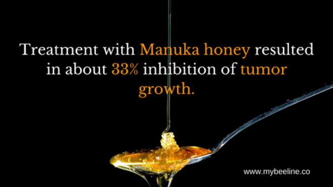manuka honey slows down the growth of cancer cells