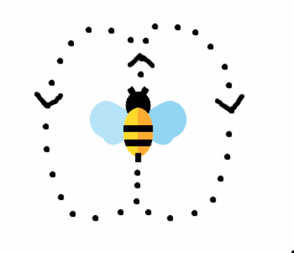 bee waggle dance