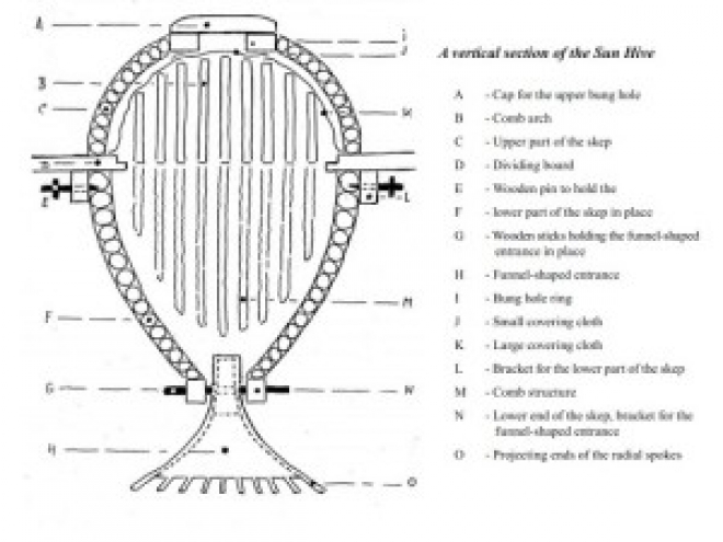 sunhive_inside